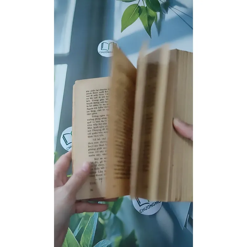 [MIỄN PHÍ BỌC SÁCH] [XƯA] [HIẾM] Khung Rêu (1990) - Nguyễn Thị Thụy Vũ 997646