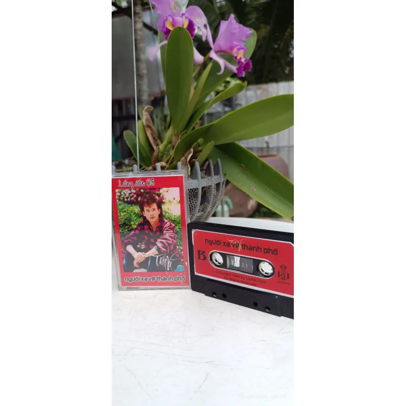 Băng Cassette Nhạc Người Xa Về Thành Phố  957094