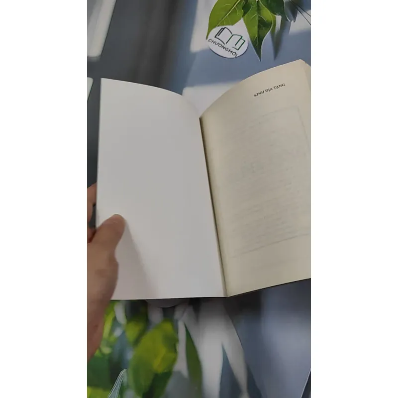 Kinh Địa Tạng - Thích Nhật Từ 776138