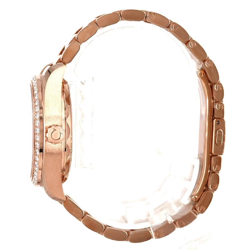 Đồng hồ Omega Seamaster Aqua Terra PG/D･12P 220.55.34.20.99.006 PG･RG tự động - Hàng hiệu Chính hãng 876555