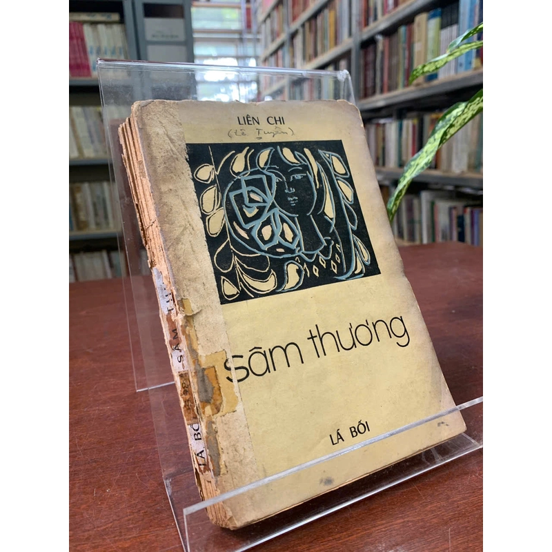 SÂM THƯƠNG - LIÊN CHI 523527