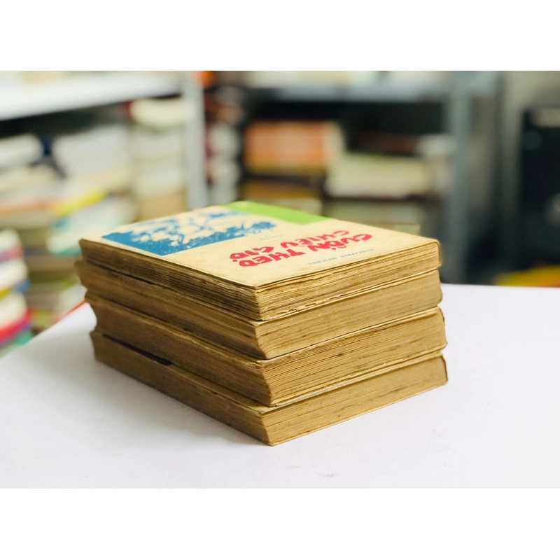 BỘ 4 TẬP CUỐN THEO CHIỀU GIÓ 445314