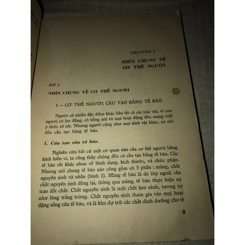 Sinh vật bổ túc văn hoá 994855