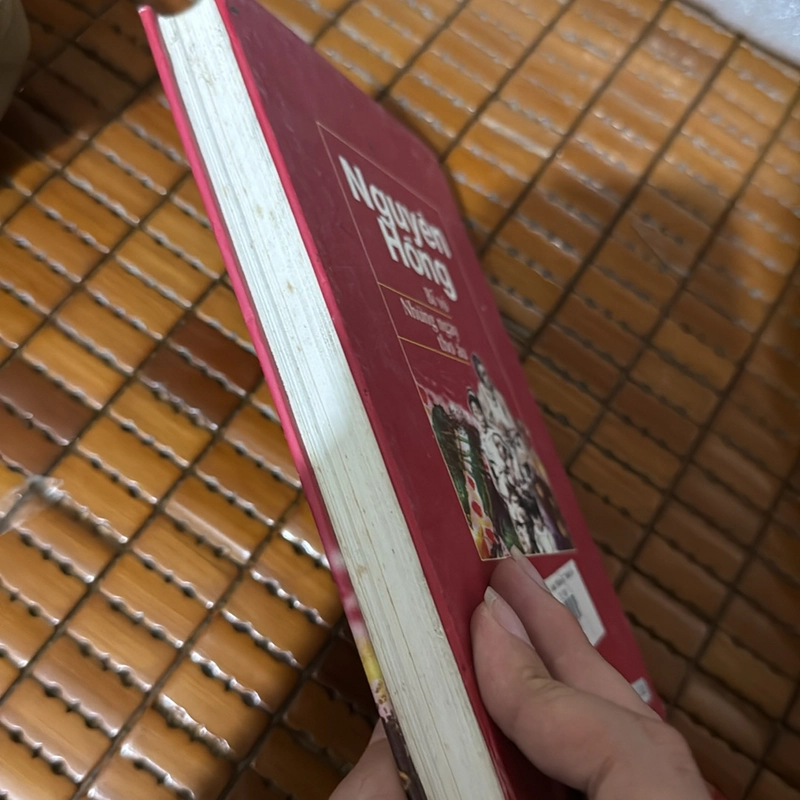 Bỉ vỏ, những ngày thơ ấu - Nguyên Hồng 501569