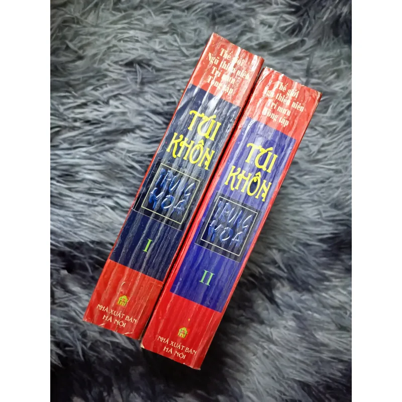 Túi khôn Trung Hoa (Đường Kì) 1000023