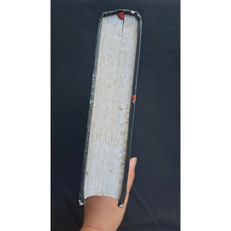 Nhà thờ Đức Bà Paris - Victor Hugo 713252