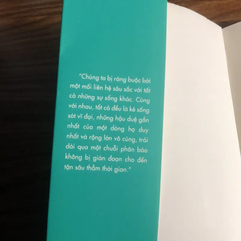 Sự sống là gì? 989814