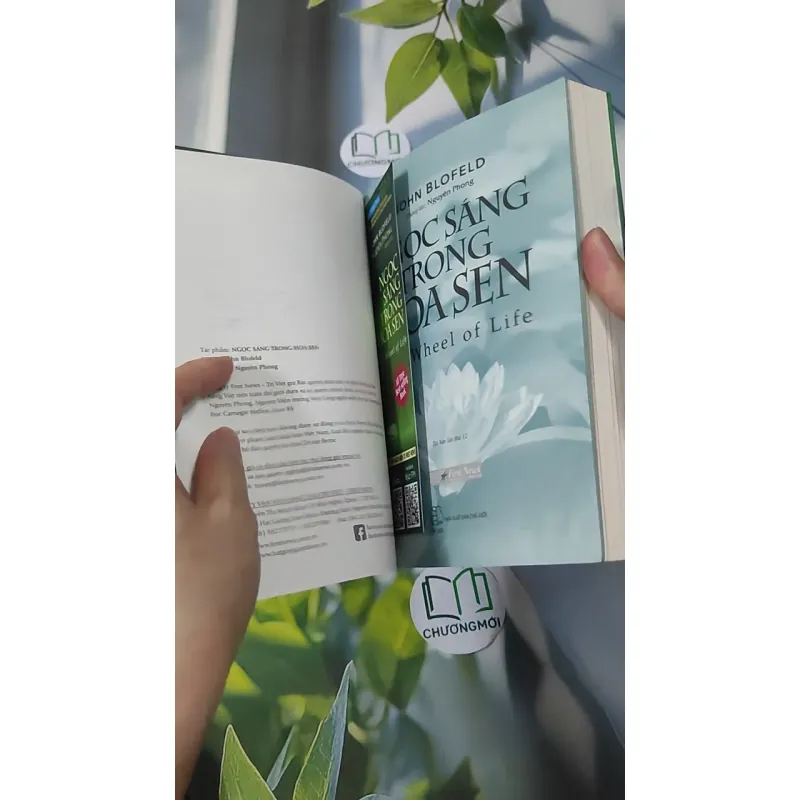 Ngọc Sáng Trong Hoa Sen - Nguyên Phong 961181