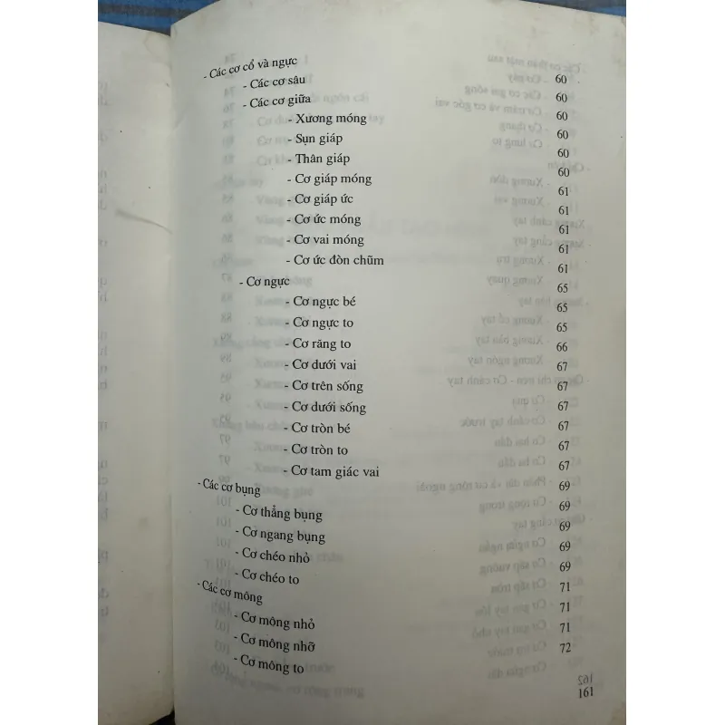 Giải phẫu tạo hình 1045616