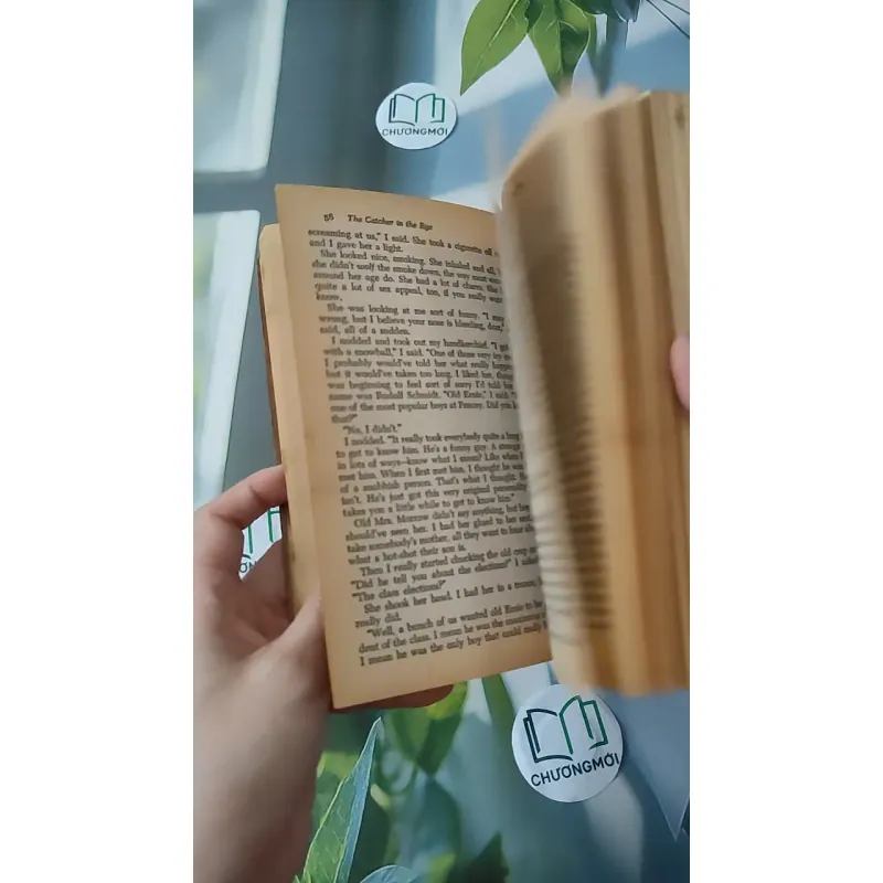 [MIỄN PHÍ BỌC SÁCH] [XƯA] The Catcher in the Rye (1951) - J. D. Salinger 1027211