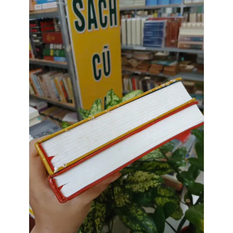 ĐẠO MẪU VIỆT NAM (TRỌN BỘ 2 TẬP BÌA CỨNG) - NGÔ ĐỨC THỊNH 976807