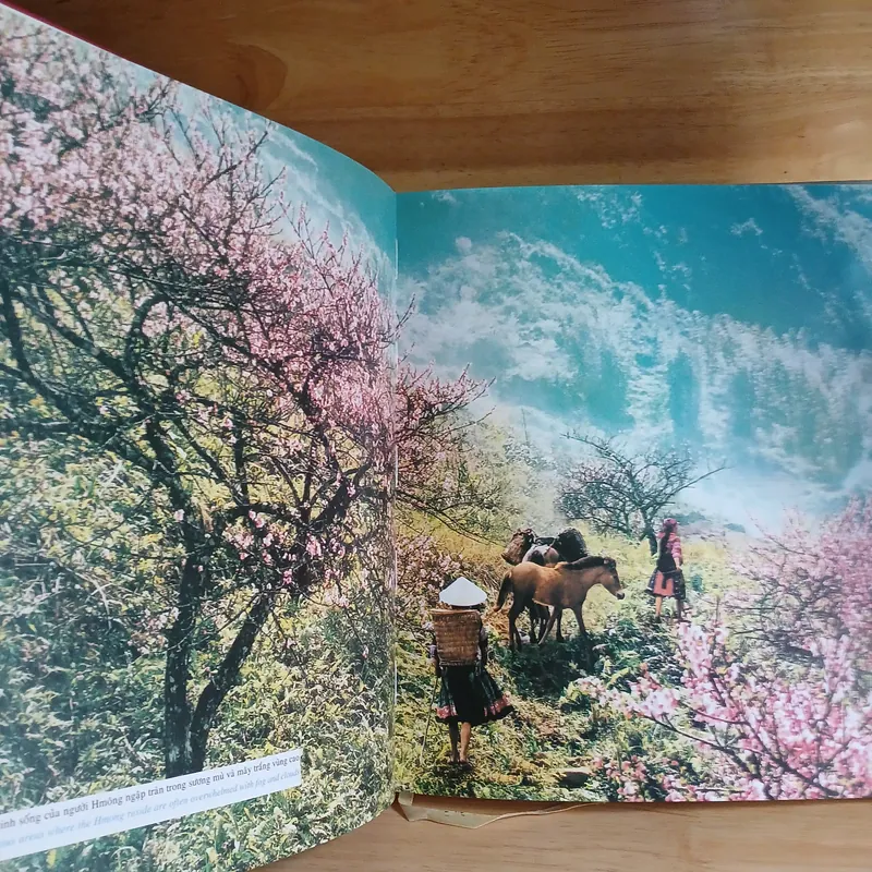 Người Hmông Ở Việt Nam - The Hmong In Viet Nam 607774