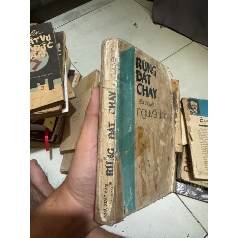 Sách Rừng Đất Cháy  1011043