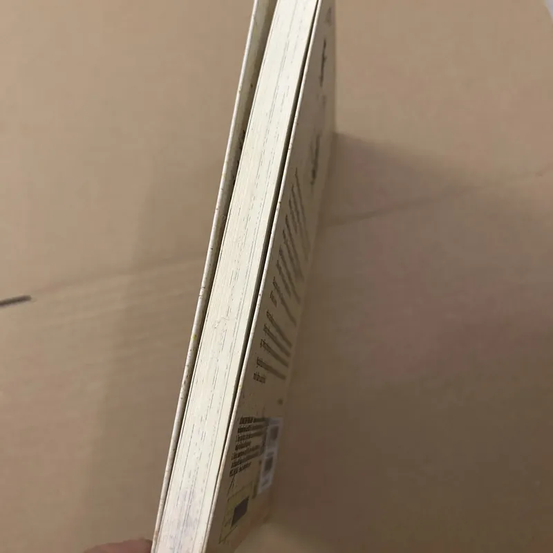 Tuổi 20 tôi đã sống như một bông hoa dại 569504