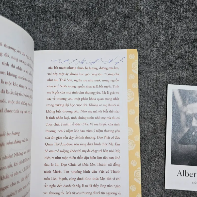 Bông hồng cài áo - thích nhất hạnh 1004958