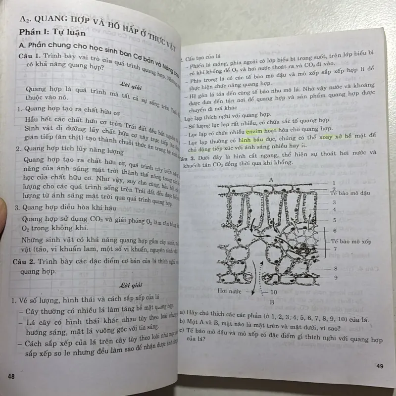 Tóm tắt lý thuyết và phương pháp giải nhanh bài tập trắc nghiệm sinh học 11 759287
