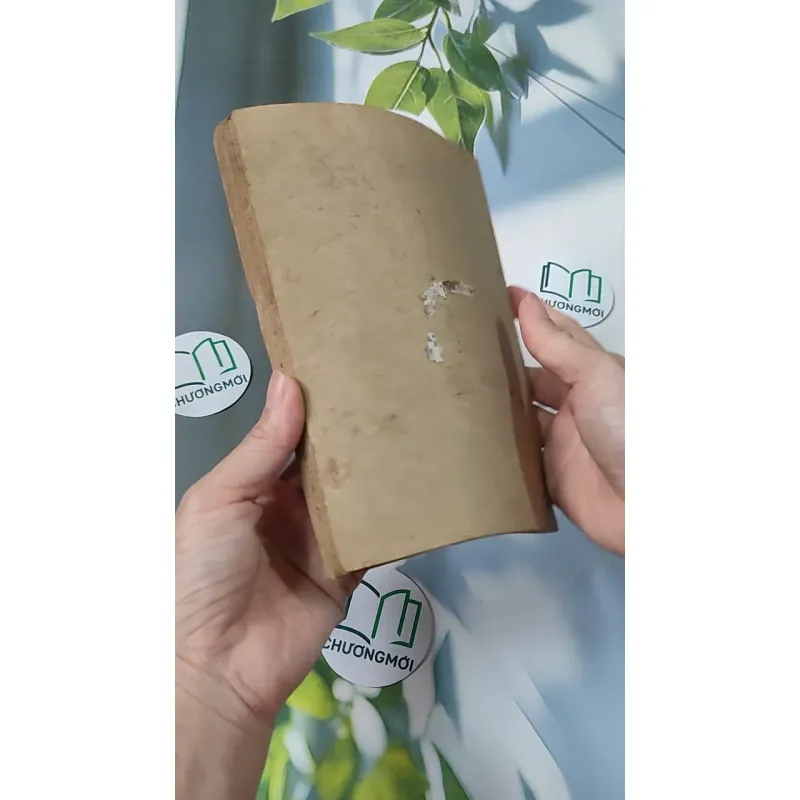 Những Truyện Tích Đầu Tiên Trong Kinh Thánh - Hội Thánh Tin Lành 775990