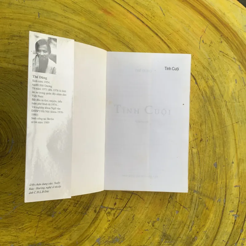 TÌNH CUỘI - THẾ DŨNG  1037288