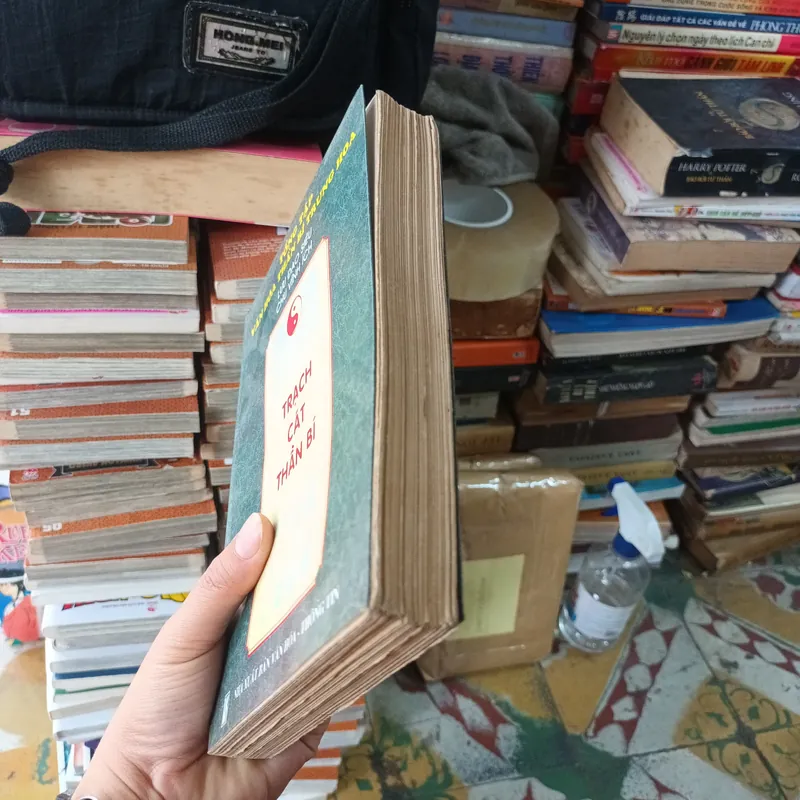 Trạch Cát Thần Bí - Lưu Đạo Siêu- Chu Vĩnh Ích 738467