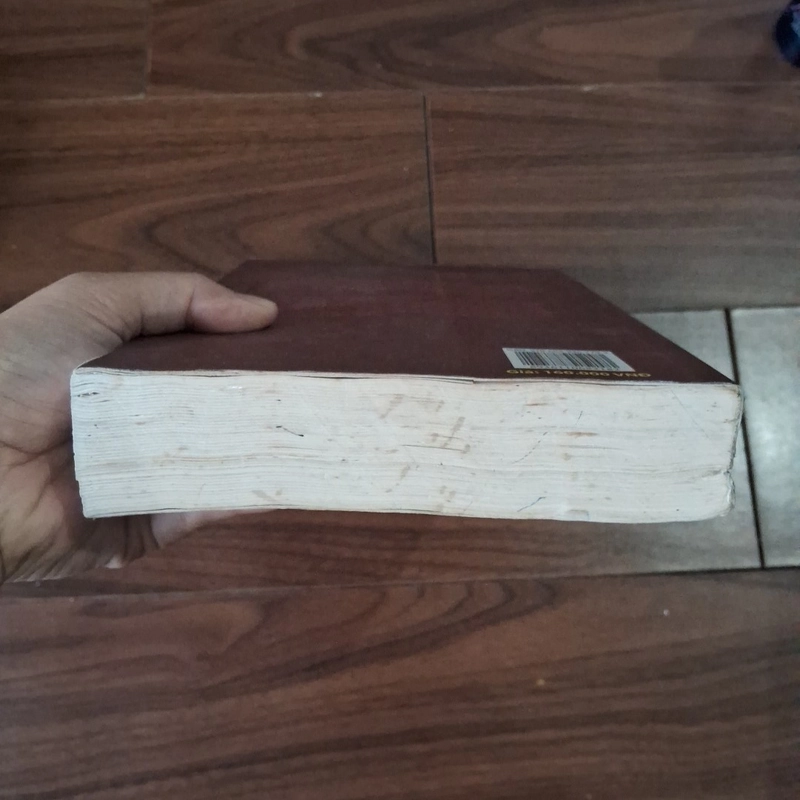 Ảnh hậu tái sinh 508835