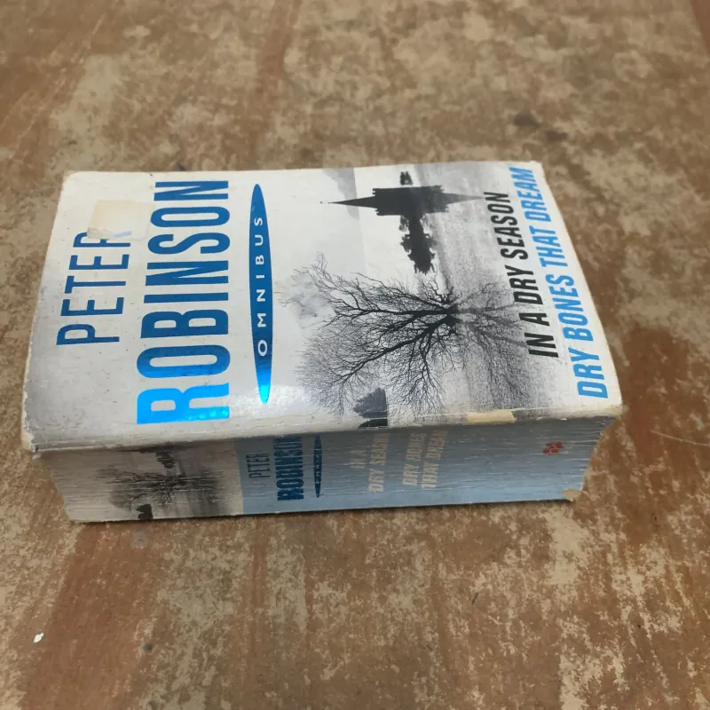 IN A DRY SEASON-DRY BONES THAT DREAM- PETER ROBINSON 763164