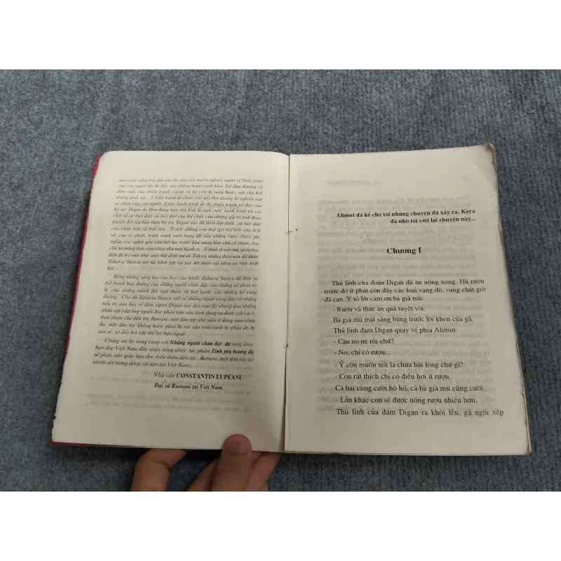 TÌNH YÊU HOANG DÃ - ZAHARIA STANCU 574376