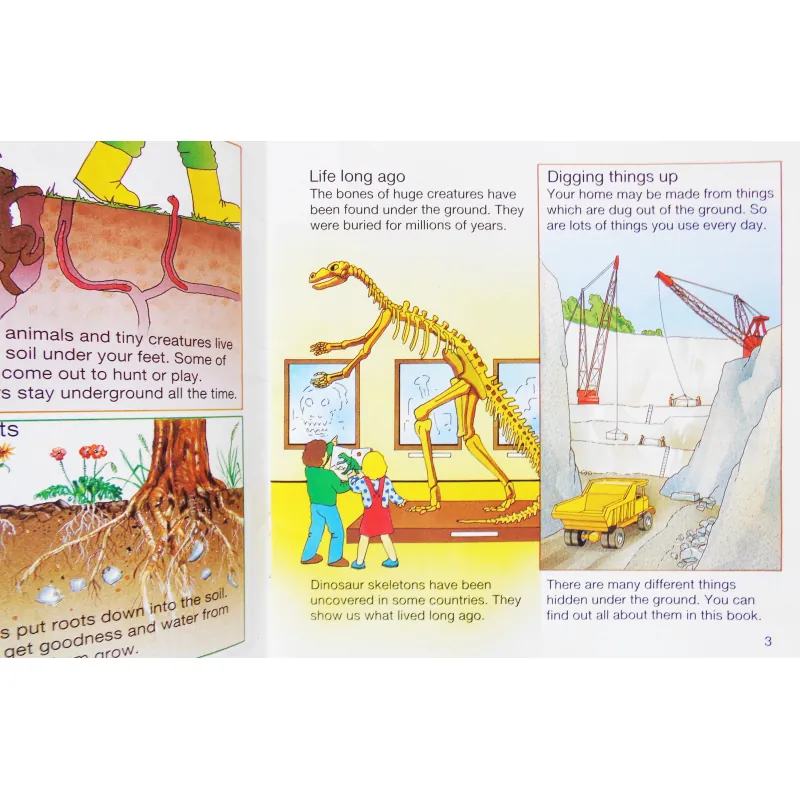 What's Under the Ground ? (Usborne Starting Point Science) 270574
