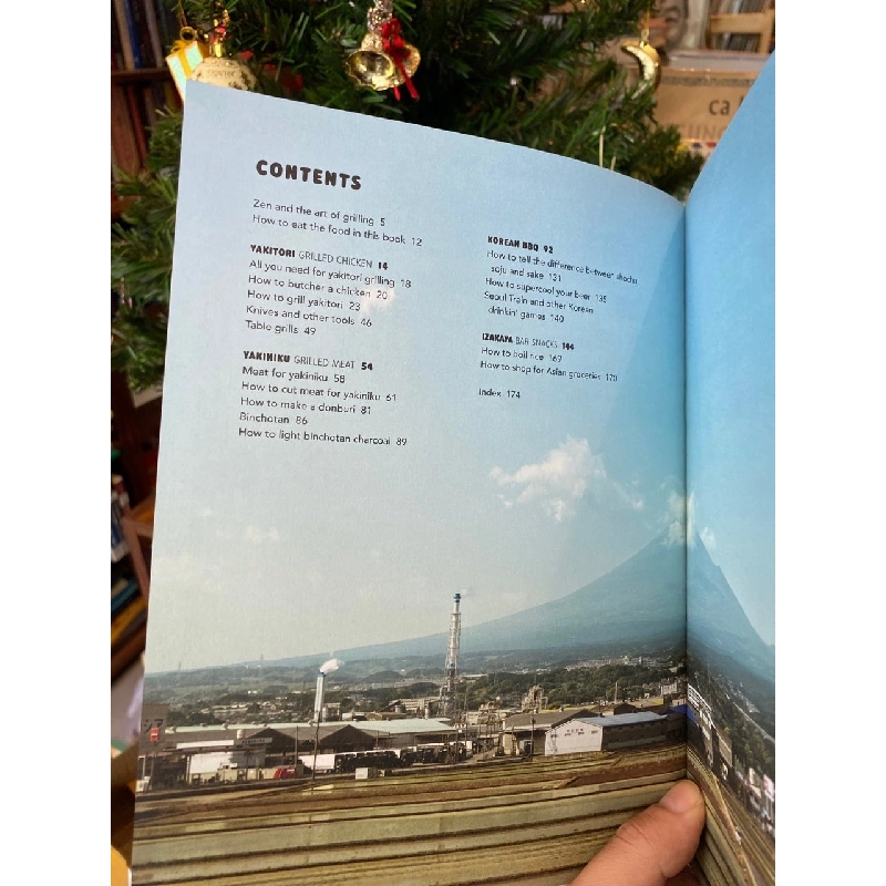 Korean BBQ & Japanese Grills 783010