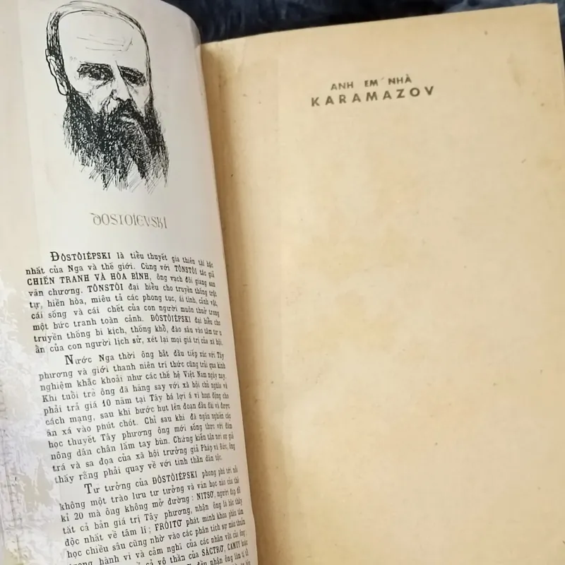 Anh em nhà Karamazov (Dostoievski) 563138