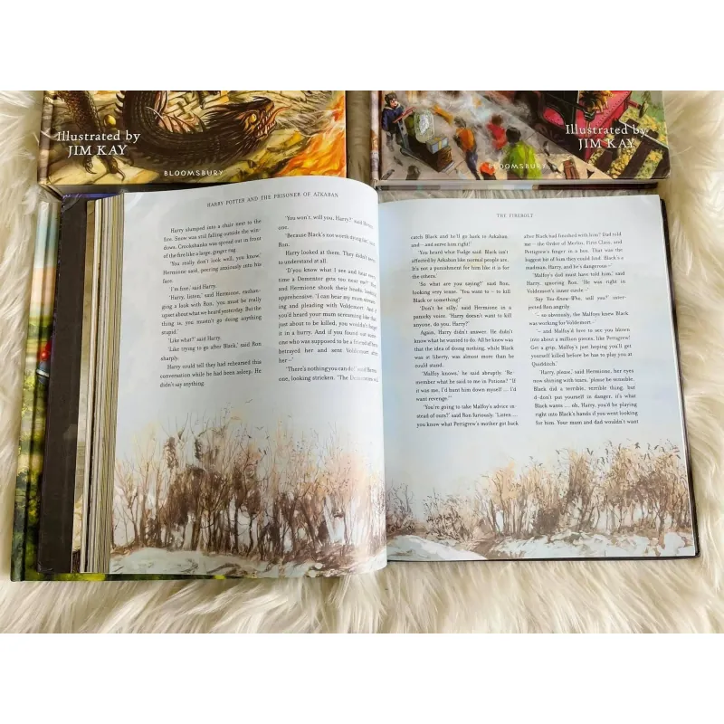 HARRY POTTER (Sách nhập) - Bộ 4 quyển Bìa cứng siêu đẹp 758753