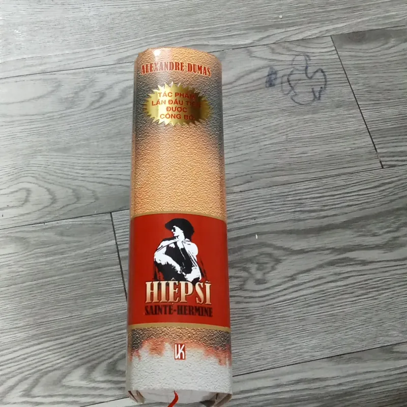 Hiệp Sĩ Sainte Hermine - Alexandre Dumas  1020152