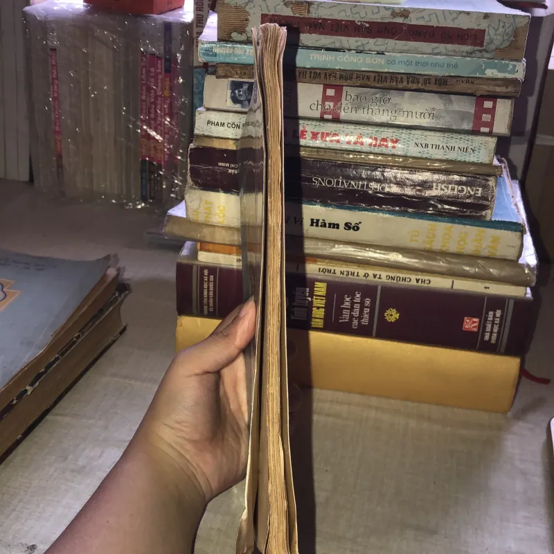 Bóng ma trong rừng Mỹ Châu 992440