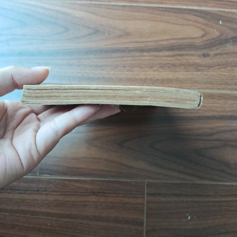 Cánh tay nữ thần (truyện ngắn mông cổ) 506401