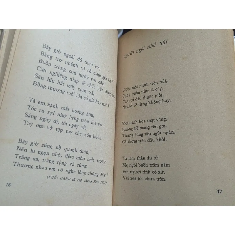 Rừng dậy men mùa - Đông Trình 593638