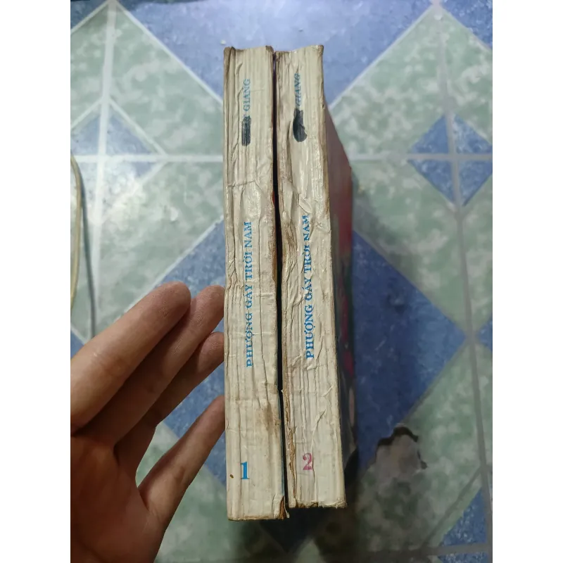 Phượng gáy trời nam ( 2 tập) - Nhất Nam 992929