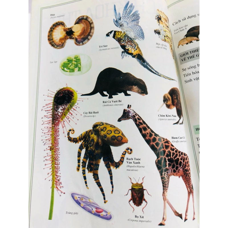 📚 BÁCH KHOA THƯ THẾ GIỚI TỰ NHIÊN 479463