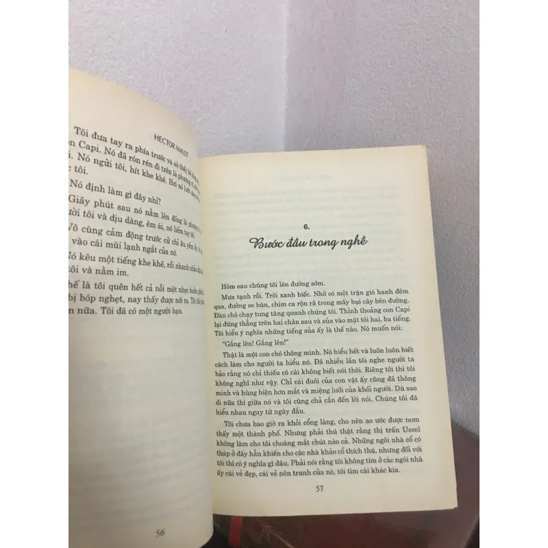 Không gia đình - Hector Malot 1034013