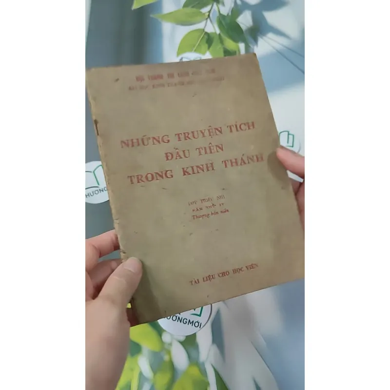 Những Truyện Tích Đầu Tiên Trong Kinh Thánh - Hội Thánh Tin Lành 775990