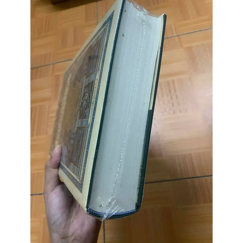 Việt Nam sử lược (ấn bản đặc biệt kỉ niệm 100 năm) 702728