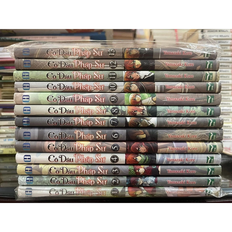 Cô Dâu Pháp Sư full bộ 13 tập  369594