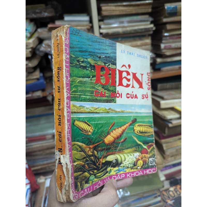 Biển cái nôi của sự sống - Lý Thái Thuận 127203