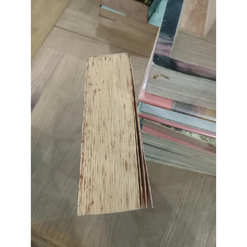 Deception Point - Dan Brown 522100