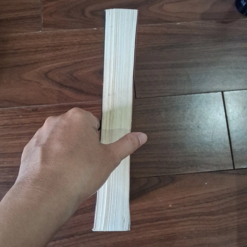 Ảnh hậu tái sinh 508835