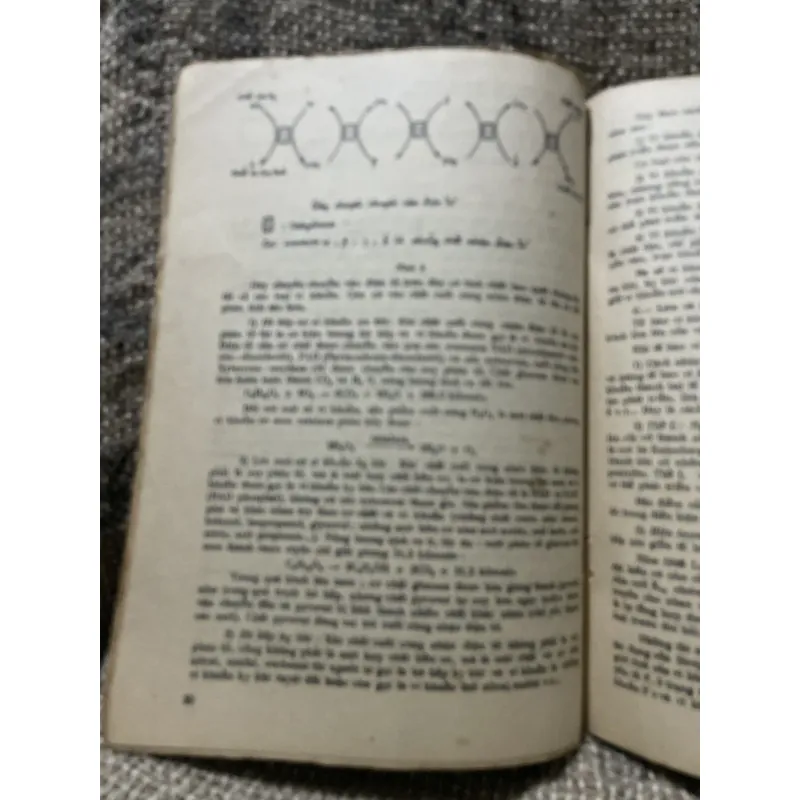 Vì sinh học y học - sách y khổ lớn - hơn 200 trang khổ lớn  1009099