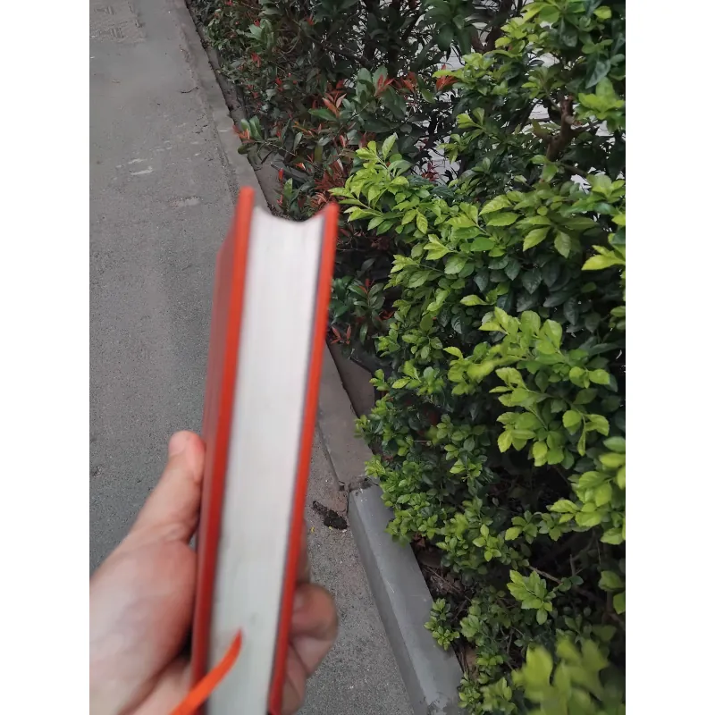 Rabbit ơi chạy đi của John Updike 936583