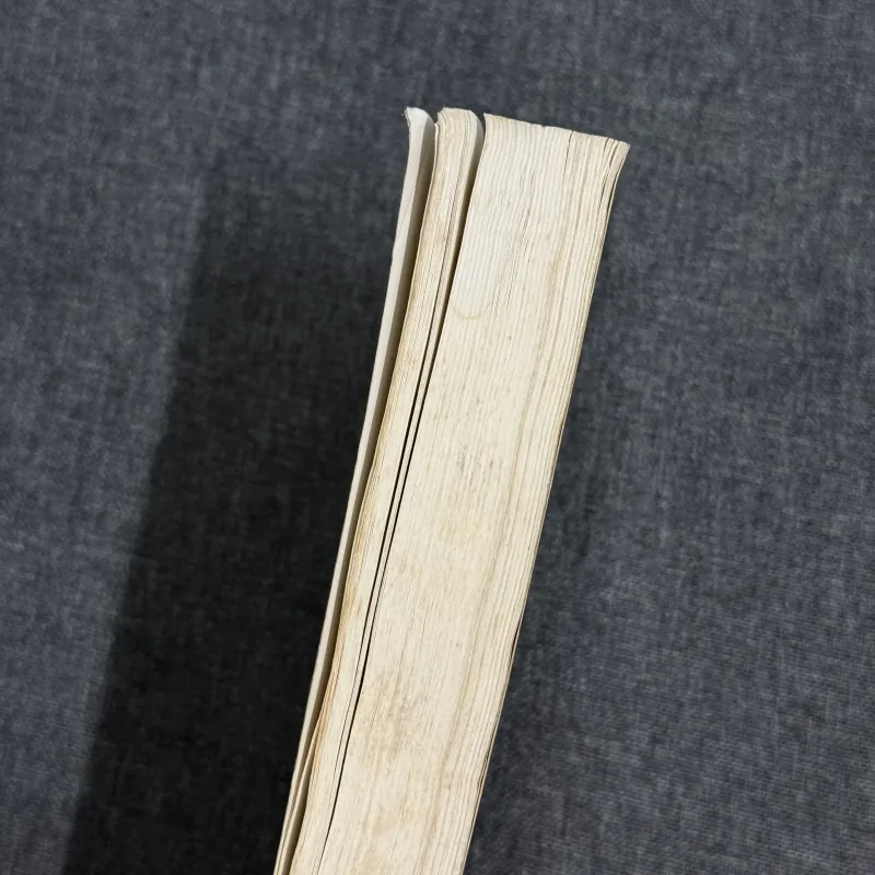 Một góc phố Tàu - Lý Lan 778726