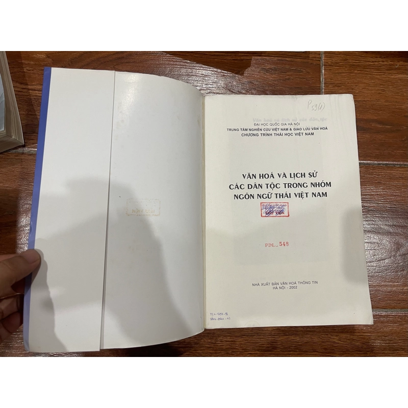 Văn hóa và lịch sử các dân tộc trong nhóm ngôn ngữ Thái Việt Nam (6) 538887