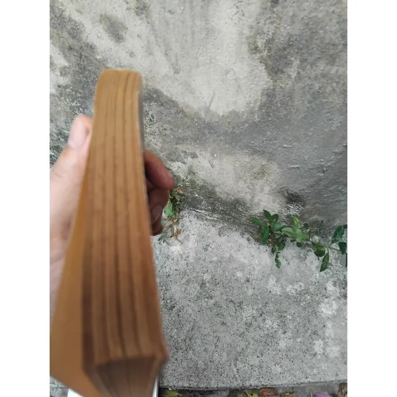 Quang Dũng người và thơ của Hoài Việt ( bản in lần 2 ) 1023973