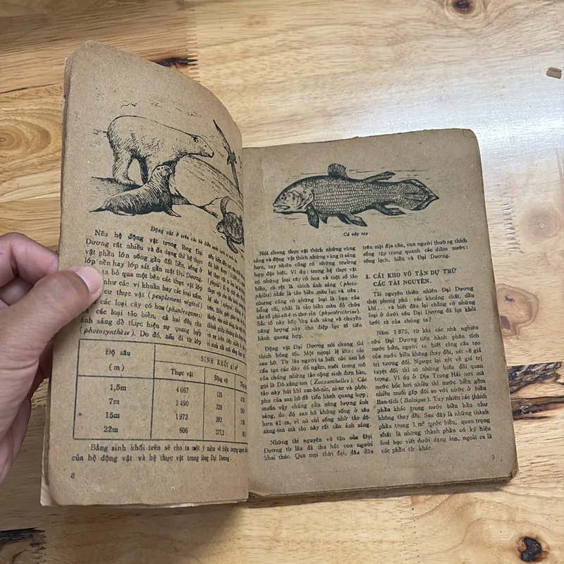 II Sách Xưa: Biển Gọi - Trung Tâm Nghiên Cứu Và Dịch Thuật - 1984 687798