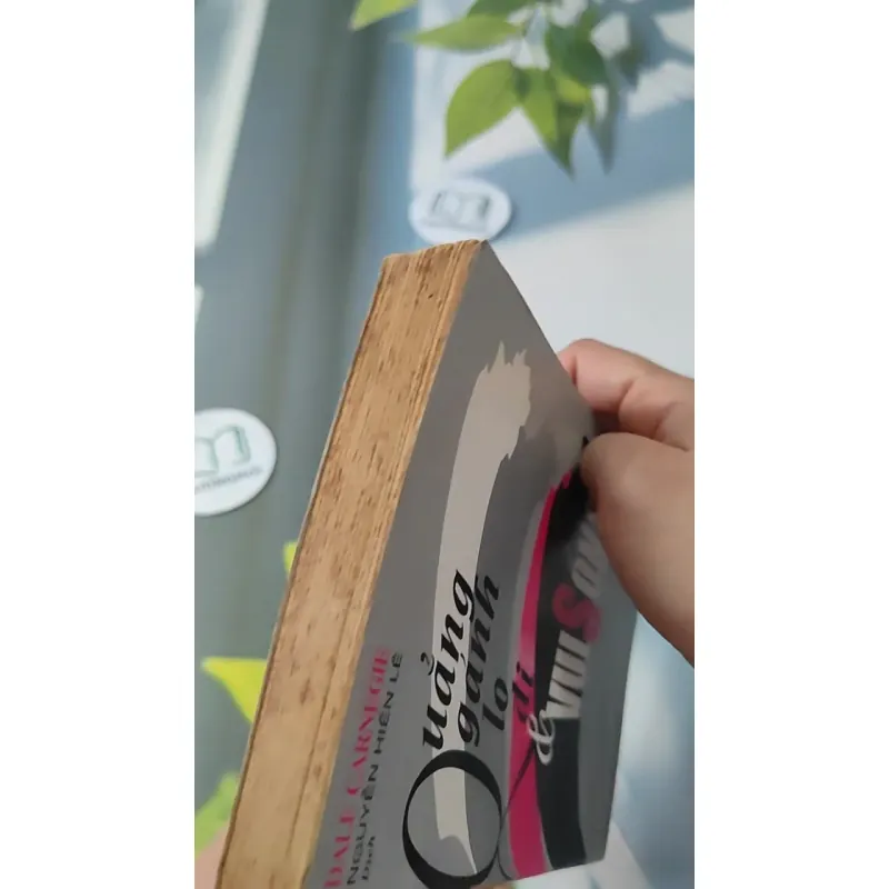 Quẳng Gánh Lo Đi & Vui Sống (1995) 727254